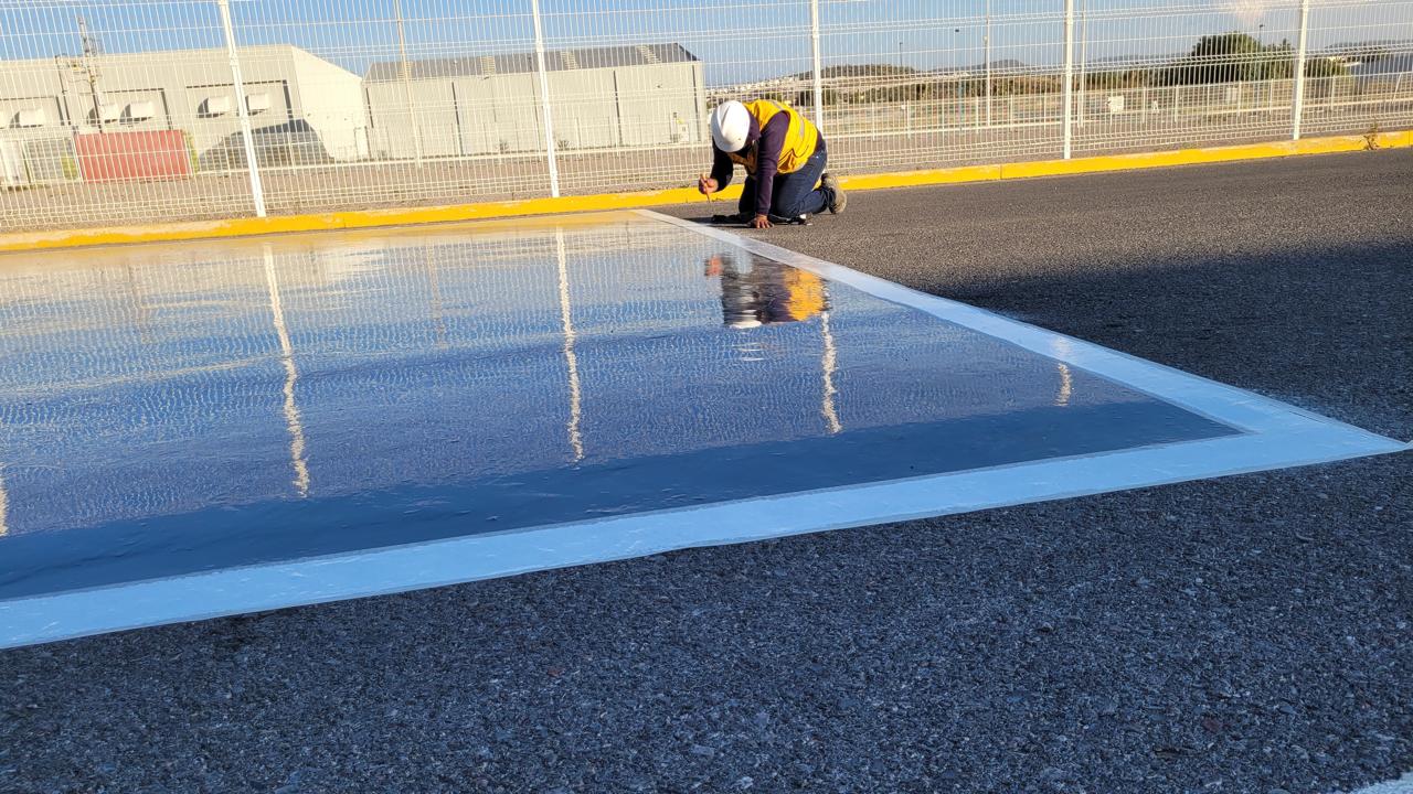 Proyecto 12